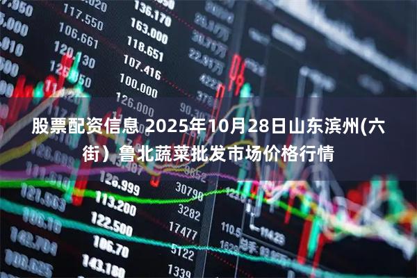 股票配资信息 2025年10月28日山东滨州(六街）鲁北蔬菜批发市场价格行情