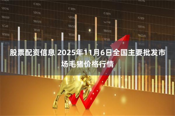 股票配资信息 2025年11月6日全国主要批发市场毛猪价格行情