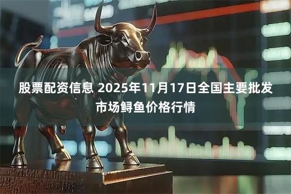 股票配资信息 2025年11月17日全国主要批发市场鲟鱼价格行情